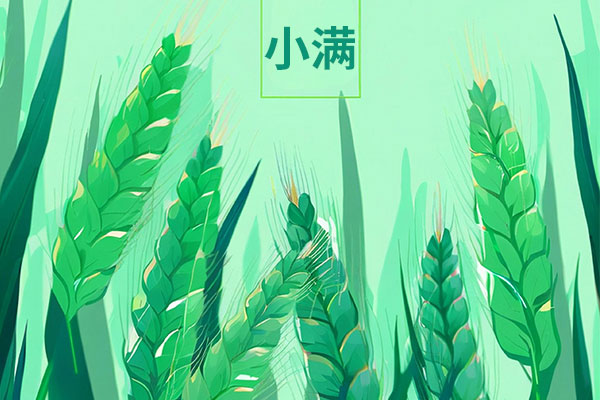 幼满,二十四骨气,幼满物候,幼满诗词,幼满养生 幼满,二十四骨气,幼满物候,幼满诗词,幼满养生
